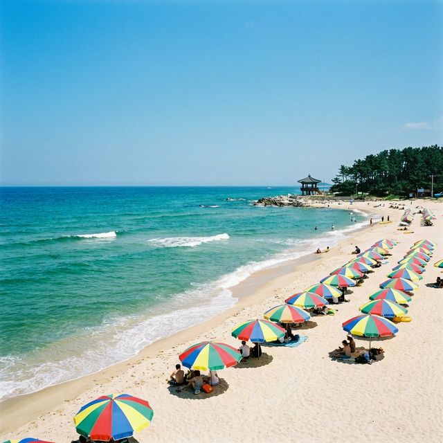 Beyond the Humidity: The Best Summer Beach Escapes in Korea